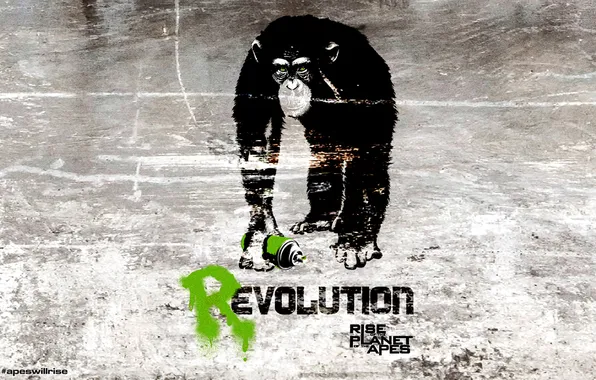 Rise of the planet of the apes, rise of the planet of the apes, REvolution