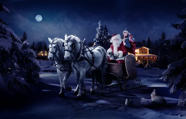 Picture night, the moon, new year, horse, Santa Claus