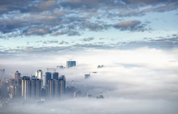 The sky, the city, fog