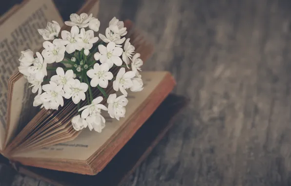 Flowers, mood, book, Jasmine
