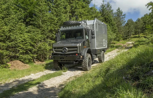 Road, greens, forest, Mercedes-Benz, Unimog, U4023, Bimobil EX 435