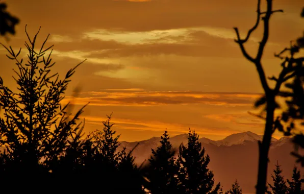 Clouds, trees, mountains, silhouette, glow