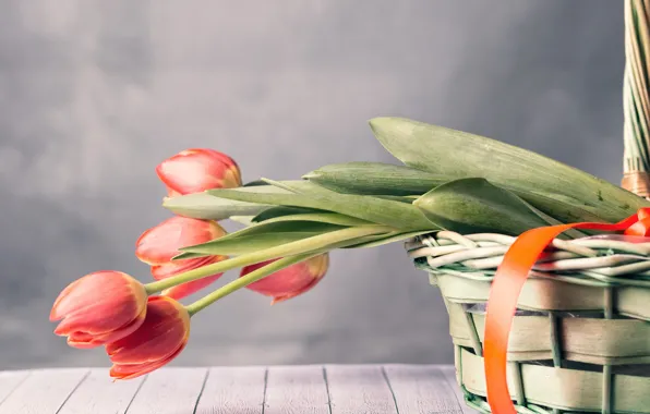 Picture light, flowers, red, background, gift, Board, bouquet, spring