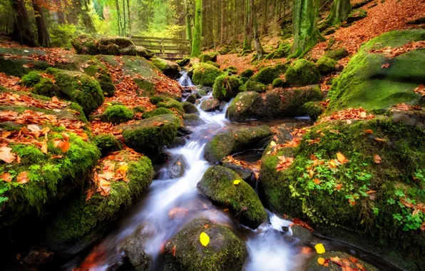 Picture autumn, leaves, stones, waterfall, falling leaves