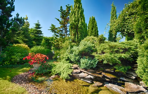 Picture water, trees, flowers, Park, stones, Sunny, the bushes