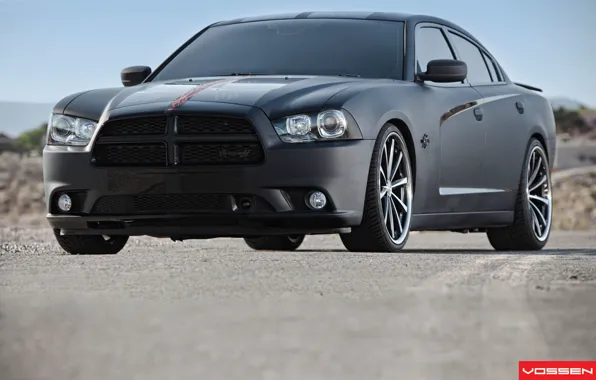 Picture dodge, charger, vossen