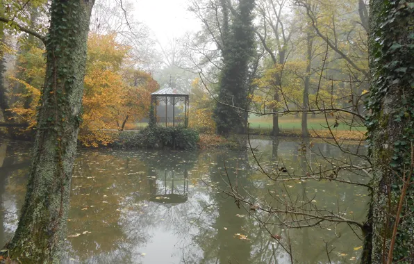 Picture Autumn, Gazebo, Pond, Park, Nature, Park, autumn, pond