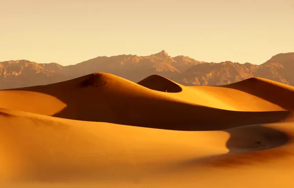 Sand, the sky, the dunes, desert
