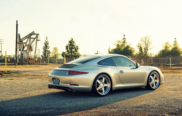 Porsche, Porsche, carrera, 991, rearside