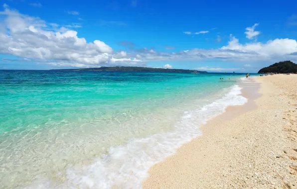 Picture sea, wave, nature, tropics, blue water