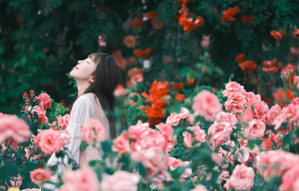 Beautiful, Asian, Model, Flowers, Roses, Woman, Cute, Pretty