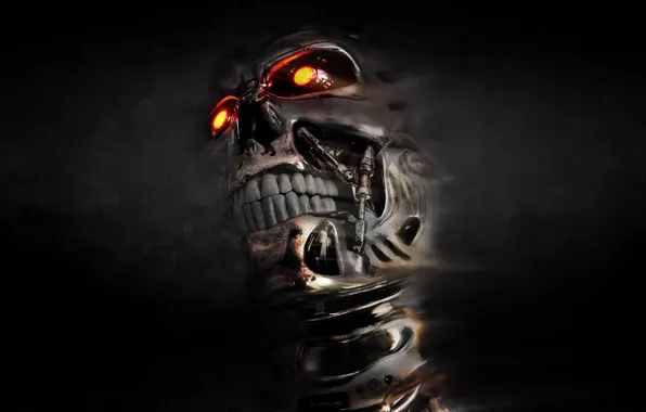 Picture skull, terminator, cyborg