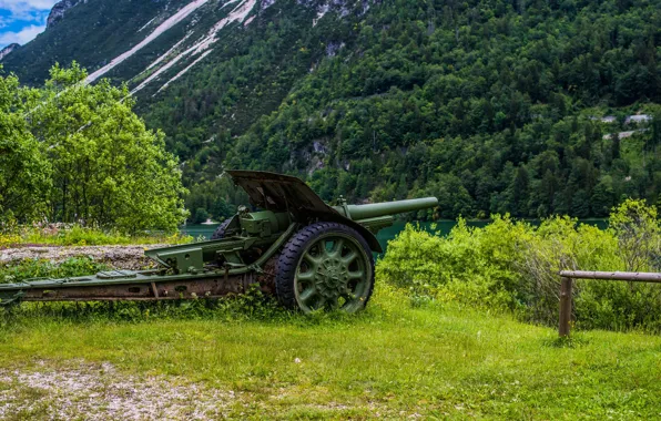 Nature, gun, gun