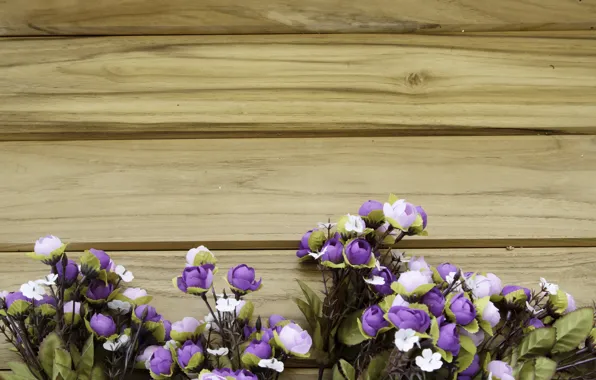 Flowers, roses, wood, flowers, purple, roses