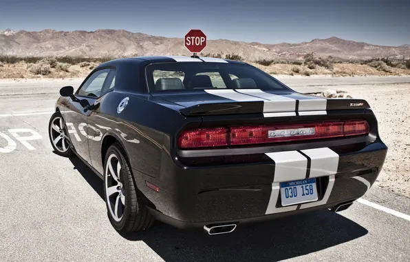 Road, blue, strip, sign, stop, crossroads, muscle car, Dodge