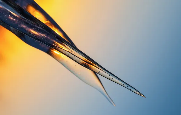 Cold, ice, the sun, bubbles, icicles, sharp