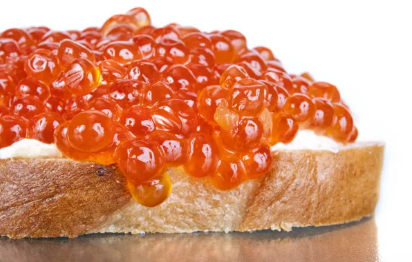 Picture bread, red, sandwich, caviar