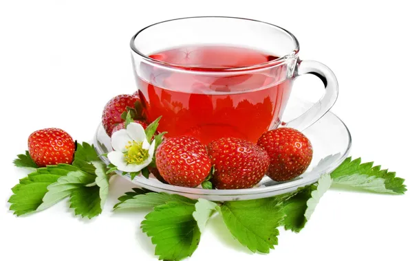 Picture tea, strawberry, berry, Cup, white background, leaves, saucer, strawberry