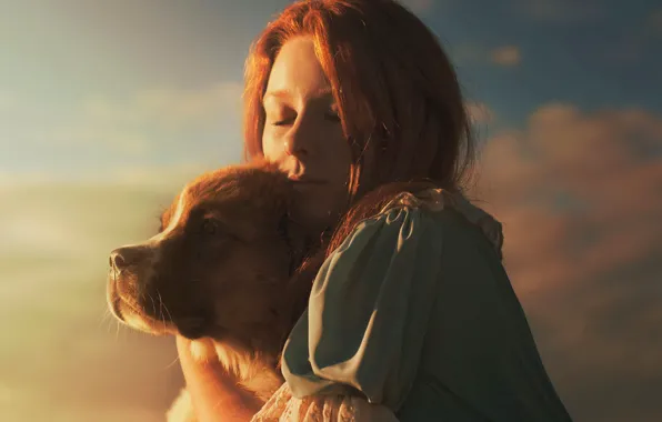 Girl, dog, sunlight