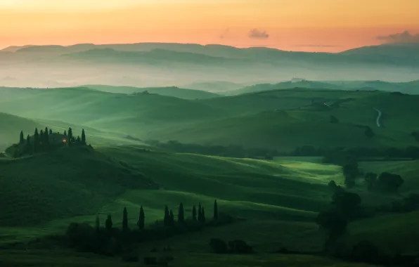 Road, greens, summer, trees, fog, hills, view, field