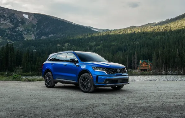 Car, machine, forest, mountains, house, blue, wheel, Kia