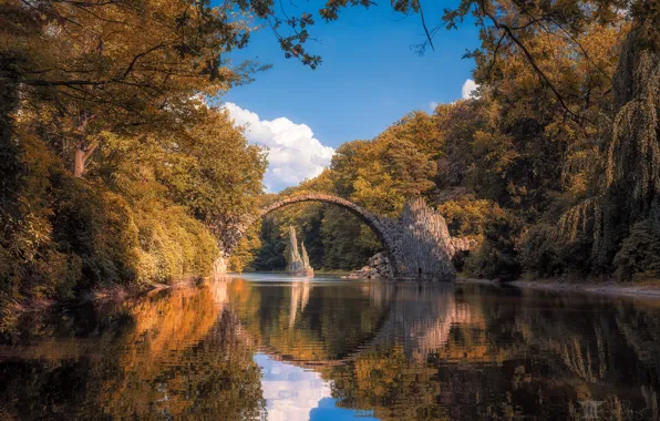 Autumn, forest, bridge, lake, reflection, Germany, Germany, Saxony