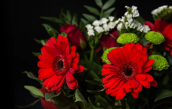 Bouquet, chrysanthemum, gerbera