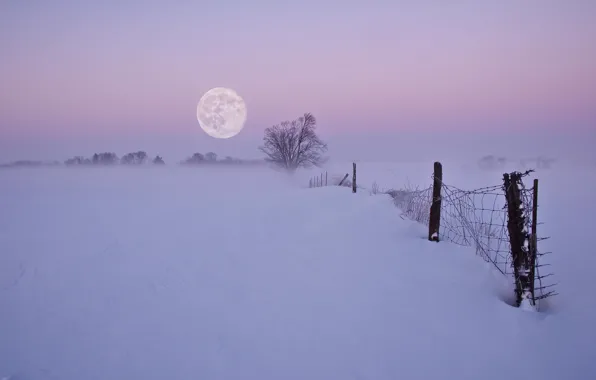 Picture winter, snow, night, fog, the moon, the fence