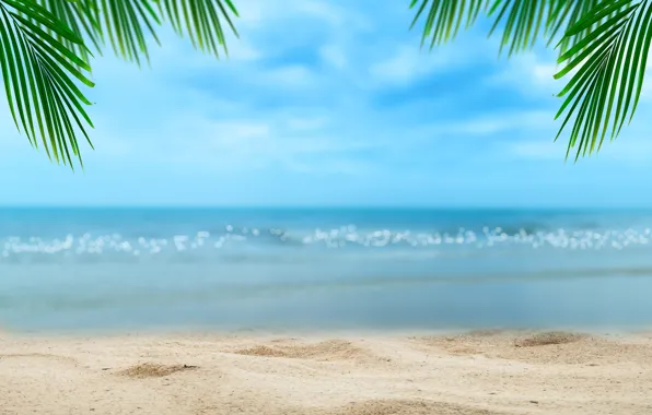 Sand, sea, beach, summer, the sky, the sun, palm trees, shore