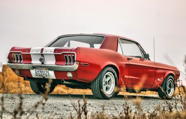 Mustang, Ford, Ford Mustang, 1967, Ford Mustang, Muscle Car