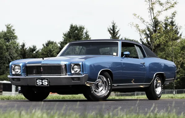 Grass, trees, blue, Chevrolet, Chevrolet, 1971, the front, 454