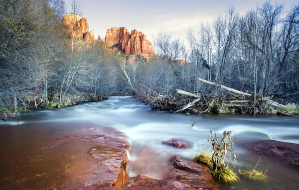 Rock, trees, water, Sunset in Sedona