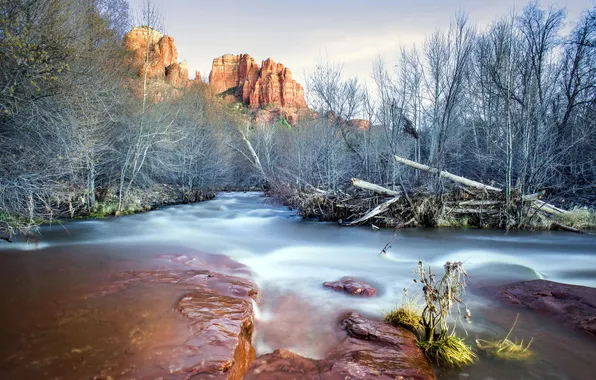Picture rock, trees, water, Sunset in Sedona