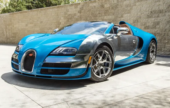 Picture Bugatti, Veyron, 2013, Vitesse Meo, Bugatti Veyron 16.4 Grand Sport