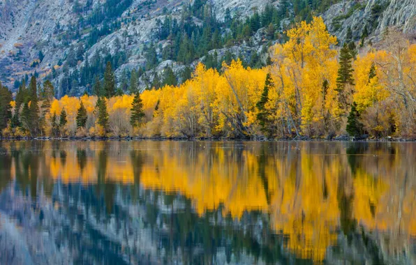 Picture autumn, trees, mountains, lake, reflection