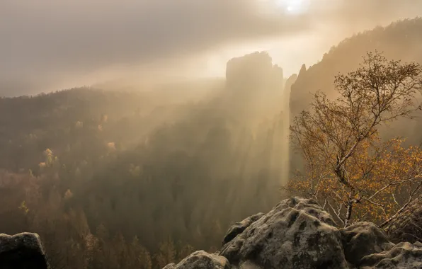 Autumn, forest, the sky, the sun, clouds, rays, light, mountains