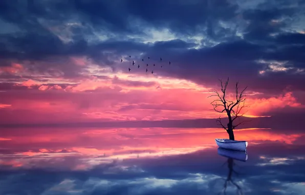 The sky, water, landscape, sunset, birds, nature, reflection, tree