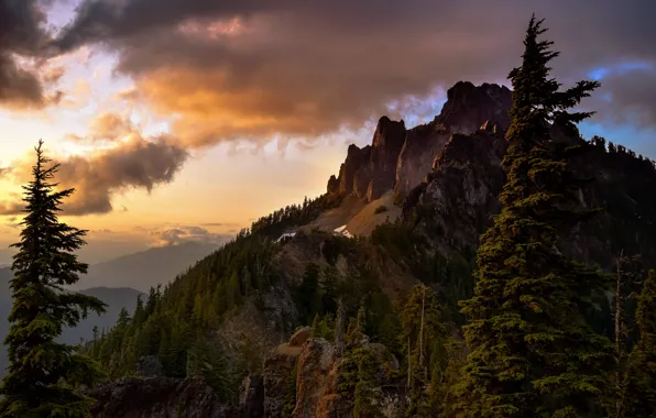 The sky, clouds, nature, rock, mountain, coniferous trees