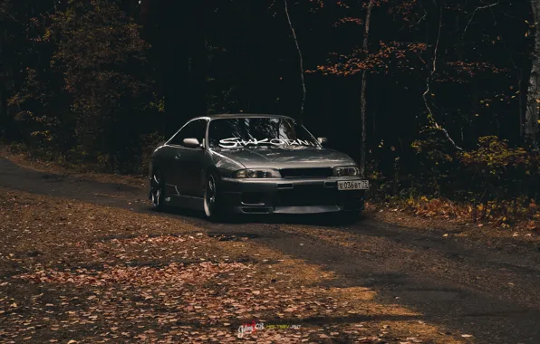 Car, nissan, skyline, gtr, autumn, r33