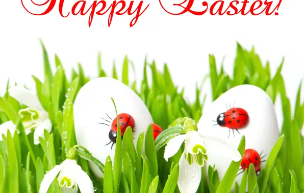 Picture grass, eggs, snowdrops, Easter, ladybugs, decor