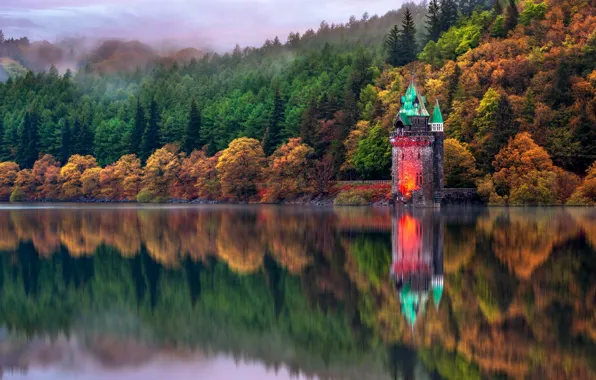 Autumn, trees, reflection, Wales, lake Vyrnwy, the drain tower