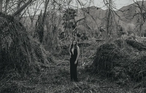 Picture dress, trees, woman, breast, hills, lips, hair, branches