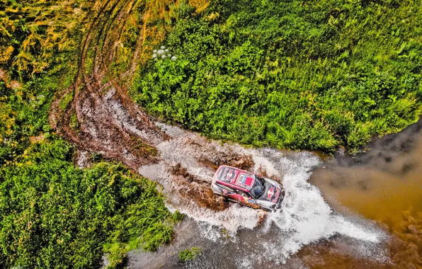 Water, Mini, Sport, Speed, Race, Dirt, The view from the top, Rally