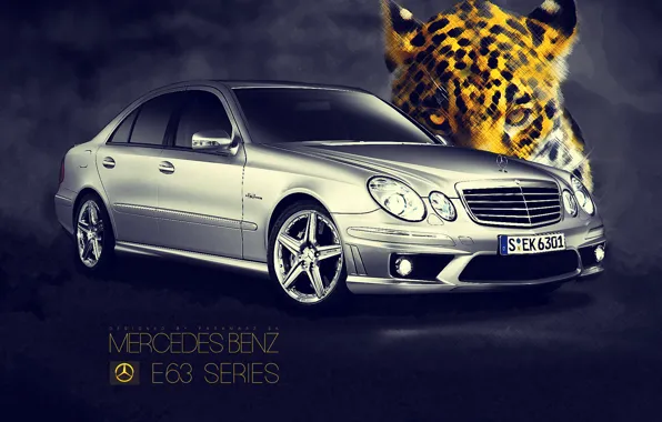 Mercedes-benz, amg, w211