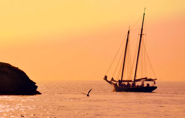 The sky, the ocean, island, Seagull, yacht