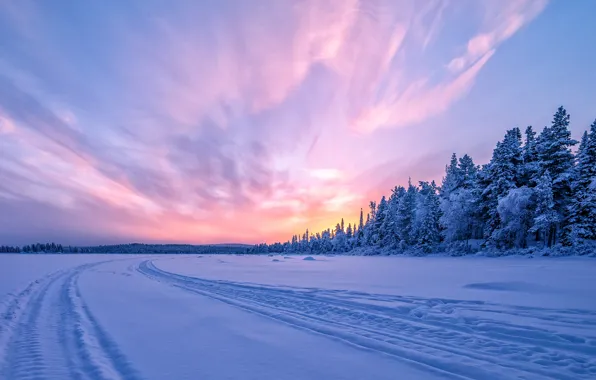 Picture winter, forest, snow, sunset, Sweden, Sweden, frozen river, Torne River, Turneelven River