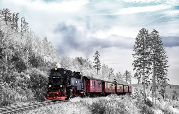 Picture winter, forest, the sky, rails, the engine, railroad
