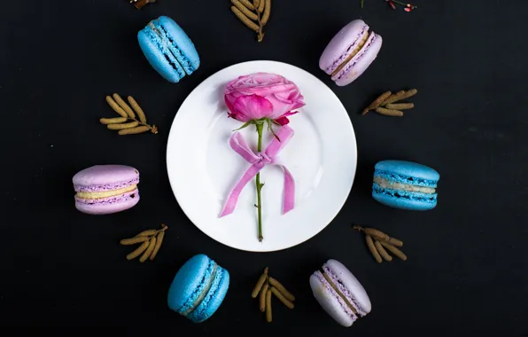 Flower, background, rose, cake, cake, cakes, background, macaroons