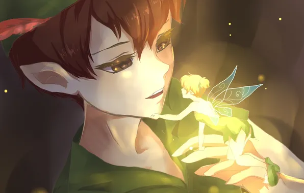 Picture fireflies, wings, anime, fairy, art, guy, tinkerbell, misamis the