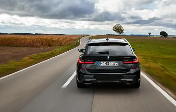 Road, black, BMW, rear view, 3-series, universal, 3P, 2020
